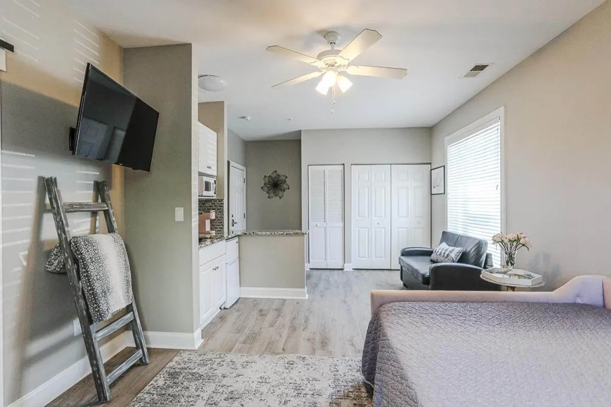 A spacious studio layout featuring a comfortable sofa, flat-screen television, kitchenette, and a bed with soft bedding. A decorative plant and ample natural light streaming through the window create a welcoming, tranquil atmosphere.